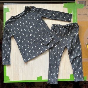 Zara 2-3T Grey floral Legging Set